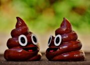 Arti Mimpi Melihat Anak Kecil Berak, Mimpi Balita Berak Menurut Primbon: Pertanda Baik atau Buruk?