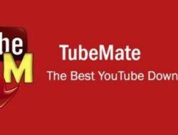 Kelebihan dan Kekurangan Tubemate Apk yang Harus Diketahui