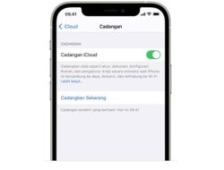 7 Tips Mengatasi Pencadangan Data Gagal di HP iPhone