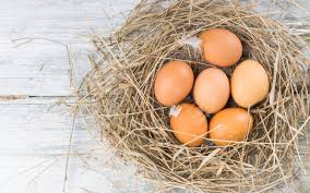 Arti Mimpi Melihat Telur Menetas: Ada Telur Ayam, Bebek, Angsa dan Burung Menetas