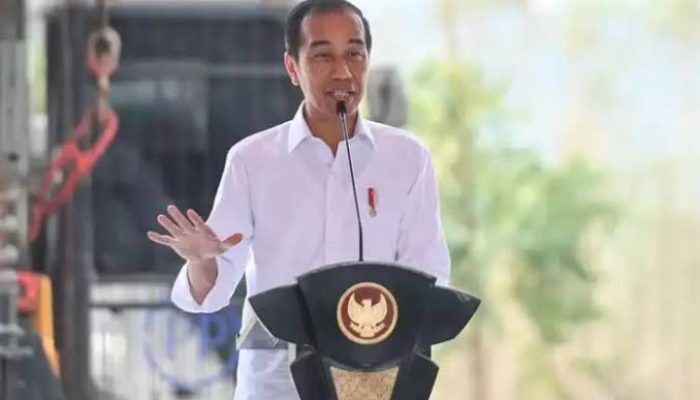 Presiden Jokowi Meresmikan Pembangunan Proyek Penghasil Gas Bumi Terbesar di Papua Barat