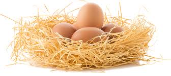 Makna Mimpi Telur Bebek dan Angsa Pecah Menurut Primbon, Islam dan Psikolog