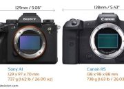 Perbandingan Sony A1 vs Canon EOS R5: Kelebihan dan Kelemahan