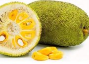 Arti Mimpi Memotong Buah Nangka dari Pohon Kebun Belakang Rumah