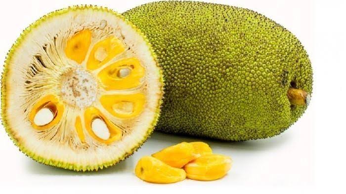 Arti Mimpi Memotong Buah Nangka dari Pohon Kebun Belakang Rumah