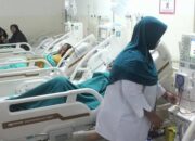 Perjalanan Mimpi Penyembuhan: Tafsir Sakit di Puskesmas Kecamatan Dirawat Bidan atau Dokter