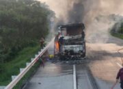 Bus Pahala Kencana Terbakar di Tol Jombang, 34 Penumpang Selamat