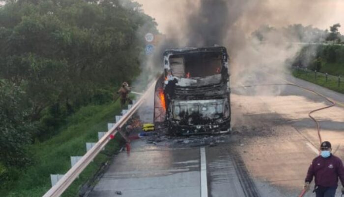 Bus Pahala Kencana Terbakar di Tol Jombang, 34 Penumpang Selamat