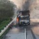 Bus Pahala Kencana Terbakar di Tol Jombang, 34 Penumpang Selamat