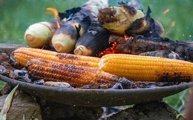 Makna Mimpi Melihat Jagung di Bakar, Rebus, Manis, dan Jagung Kering