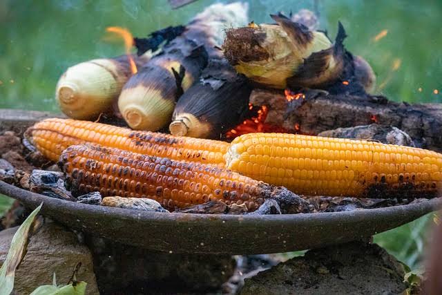 Makna Mimpi Melihat Jagung di Bakar, Rebus, Manis, dan Jagung Kering