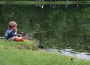 Arti Mimpi Memancing Ikan Dapat Kepiting di Sungai Kecil dan Besar atau di Kebun