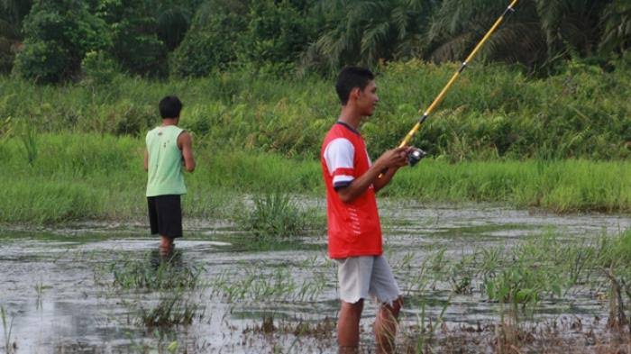 Makna Mimpi Mancing Tapi Tidak Mendapatkan Apa-Apa: Antara Harapan dan Kesabaran