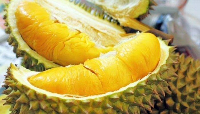 Warga Durenan Trenggalek Ditemukan Meninggal di Kamar Hotel Tulungagung, Diduga Akibat Serangan Jantung