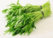 Efek Konsumsi Kangkung Terlalu Sering: Ketahui Risiko Kesehatannya
