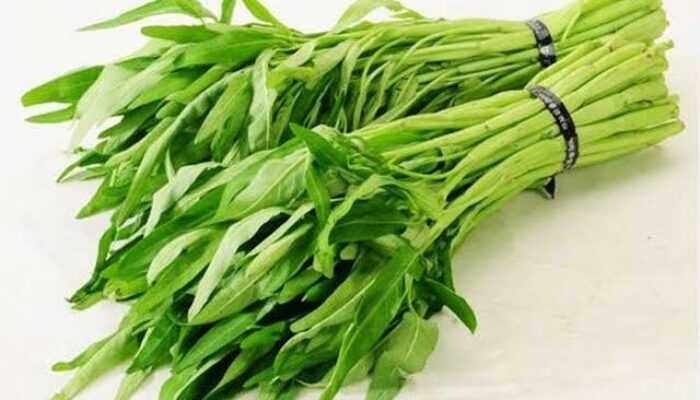 Efek Konsumsi Kangkung Terlalu Sering: Ketahui Risiko Kesehatannya