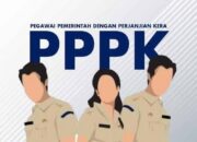 Perbedaan Gaji dan Tunjangan PPPK Paruh Waktu dan Penuh Waktu 2025