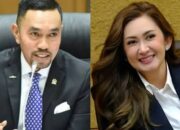 Reaksi Publik di Media Sosial Terkait Isu Video Nafa Urbach dan Ahmad Sahroni