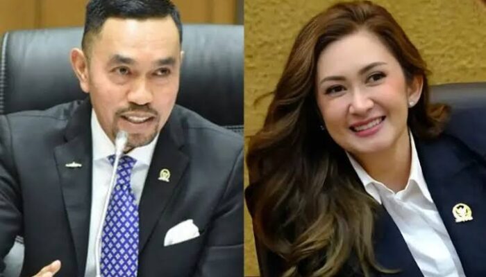 Reaksi Publik di Media Sosial Terkait Isu Video Nafa Urbach dan Ahmad Sahroni