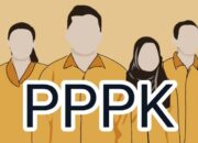 Simulasi Gaji dan Tunjangan PPPK Paruh Waktu 2025 Berdasarkan UMP